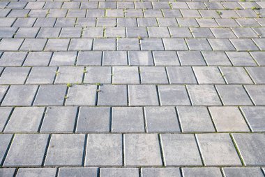 Fayansların arasında birkaç yeşil bitkinin büyüdüğü gri fayanslı bir zemin. Zemin boş ve mobilya ya da insan yok.