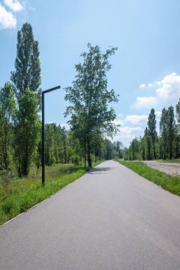 Ortasında ağaç olan bir yol ve yanında sokak lambası olan bir yol. Yol boş ve gökyüzü mavi.
