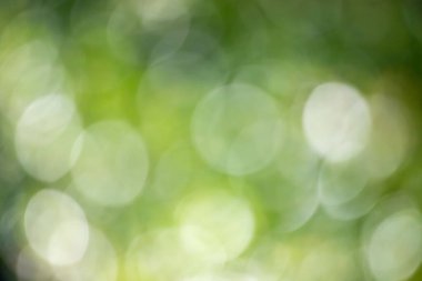 Görüntü bulanık yeşil bir arka plan ve beyaz daireler. Daireler farklı boyutlarda ve birbiriyle çakışıyor gibi görünüyor. Sahne, hareket ve enerjiden oluşur.