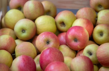 Bir tanesi kırmızı olan bir yığın elma. Elmalar üst üste yığılmış.