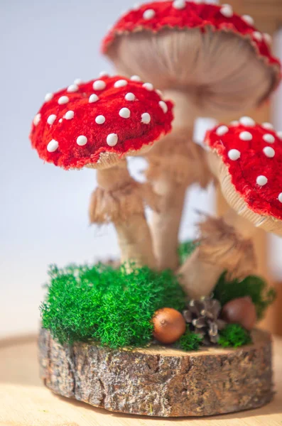 A red and white mushroom with white dots on it is sitting on a log. The mushroom is surrounded by green moss and pine needles