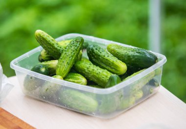 Bir tepsi salatalık masada oturur. Salatalıklar yeşil ve taze görünüyor.