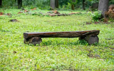 Çimenli bir arazide ahşap bir bank oturuyor. Banka ahşaptan yapılmıştır ve kırsal bir görünüme sahiptir. Çimler gür ve yeşildir ve bank ağaçlarla çevrilidir. Huzurlu ve huzurlu bir sahne.