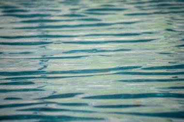 Su sakin ve hareketsiz, yüzeyde dalgalanmalar oluşuyor. Gökyüzünün ve ağaçların yansıması suda görülebilir.