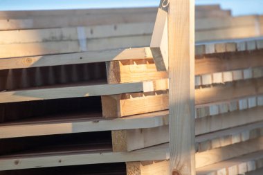 Bir kaç tahtası kesilmiş bir odun yığını. Ahşap yığıldı ve henüz tamamlanmadı.