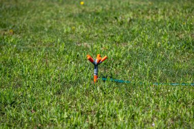 A sprinkler is in the grass