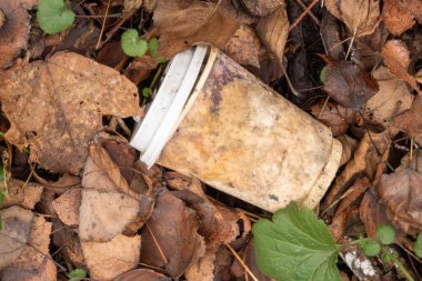 Bir fincan yaprak yığınının içinde yerde yatıyor. Bardak kirli ve beyaz bir kapağı var. Sahne dağınık ve dağınık. Bardak tek görünür nesne.