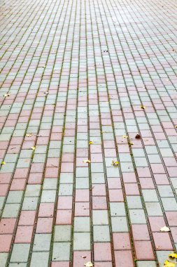 Üzerinde birkaç yaprak olan tuğla bir geçit. Yapraklar kaldırım boyunca dağılmış, bazıları yere daha yakın ve diğerleri daha yukarıda. Yürüyüş yolu kırmızı ve gri tuğlaların karışımıdır.