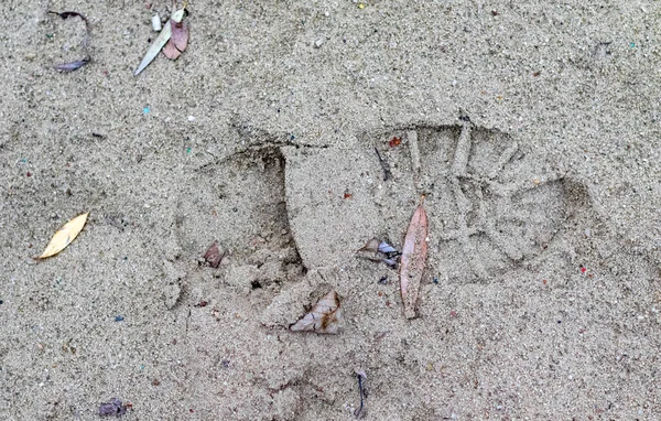 Kumda ayak izi olan kumlu bir sahil. Ayak izi küçük ve bir insana ait. Plaj yapraklar ve molozlarla doludur. Biraz dağınık görünür.