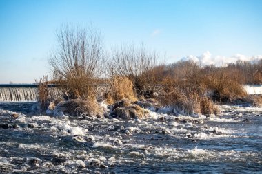 Sahilde bir sürü bitkinin yetiştiği bir nehir. Bitkiler kahverengi ve su donmuş.