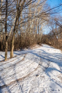 Arka planda birkaç ağaç olan karlı bir patika. Kar derin ve ağaçlar çıplak.