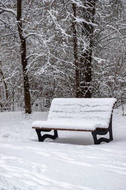 Parkta karla kaplı bir bank oturuyor. Kar bankta birikmiş, bu da onu sıcak bir kış sahnesi gibi gösteriyor. Bankın etrafı ağaçlarla çevrili, bu da resmin barışçıl atmosferine katkı sağlıyor.