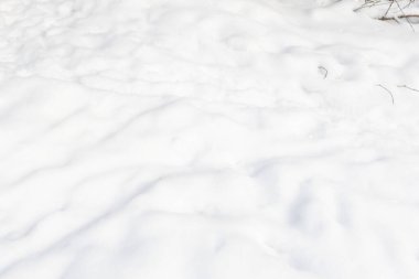 A snow covered ground with a shadow of a tree. The snow is white and the shadow is dark