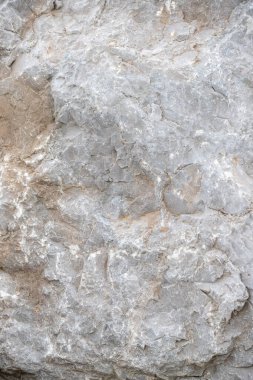 Gri ve beyaz renkli bir kaya. Kaya pürüzlüdür ve bir sürü dokusu vardır.