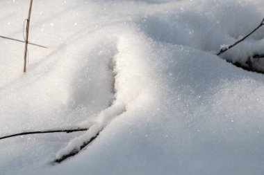 Üstünde bir dal olan karlı bir zemin. Dal karla kaplıdır ve kısmen görülebilir.
