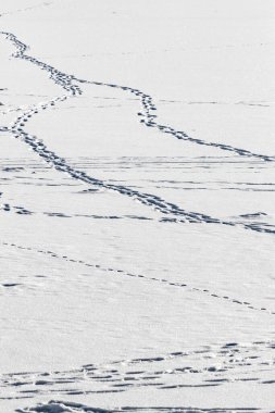 Karda izler olan karlı bir manzara. İzler aynı hizada ve birbirlerine çok yakınlar.