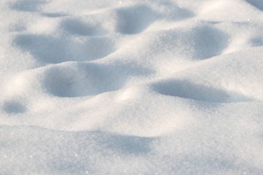 Kar beyazdır ve zemin onunla kaplıdır. Kar çok tozlu ve zemin çok düz.
