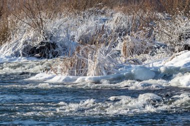 Suda buzla kaplı donmuş bir nehir. Su durgun ve sakin. Kar beyaz ve ağaçlar çıplak.