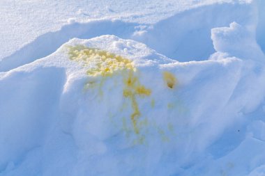 Bir parça kar sarı lekelerle kaplıdır. Lekeler muhtemelen idrardan ve kar bir buz tabakasıyla kaplı. Görüntünün ürkütücü ve rahatsız edici bir havası var.