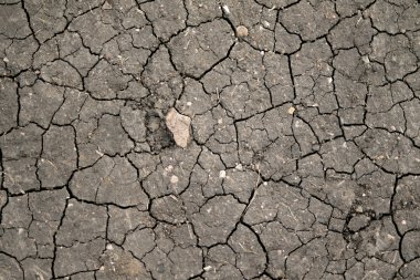 Kuru çatlamış toprak arkaplanı