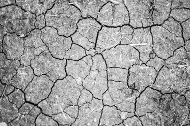 Kuru çatlamış toprak arkaplanı