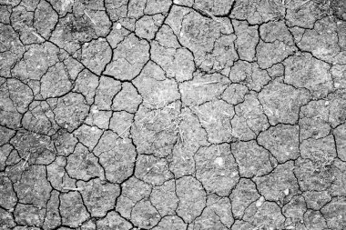 Kuru çatlamış toprak arkaplanı