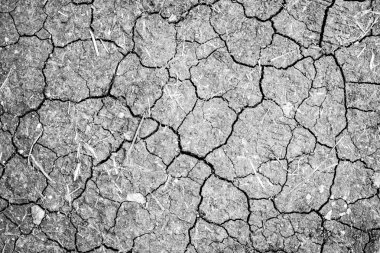 Kuru çatlamış toprak arkaplanı