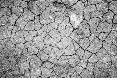 Kuru çatlamış toprak arkaplanı