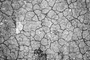 Kuru çatlamış toprak arkaplanı