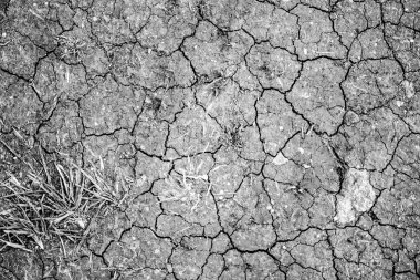 Kuru çatlamış toprak arkaplanı
