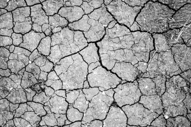Kuru çatlamış toprak arkaplanı