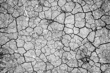 Kuru çatlamış toprak arkaplanı