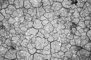 Kuru çatlamış toprak arkaplanı