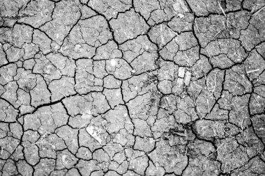 Kuru çatlamış toprak arkaplanı