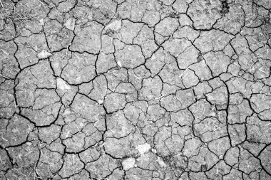 Kuru çatlamış toprak arkaplanı