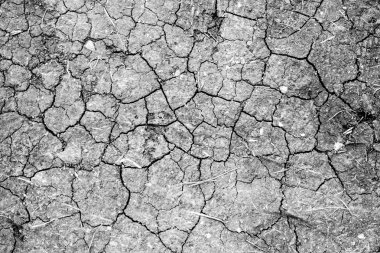 Kuru çatlamış toprak arkaplanı