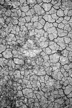 Kuru çatlamış toprak arkaplanı