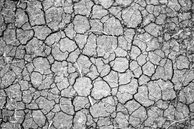 Kuru çatlamış toprak arkaplanı