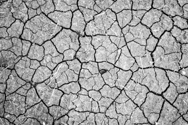 Kuru çatlamış toprak arkaplanı