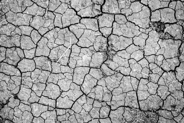 Kuru çatlamış toprak arkaplanı