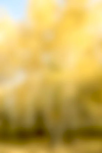 Blurred yellow background — Stock Photo, Image