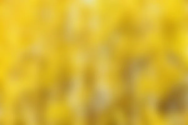 blurred yellow background