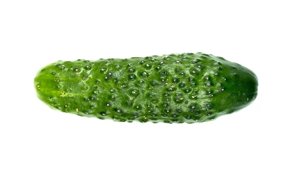Green cucumber isolated — Stock Photo, Image