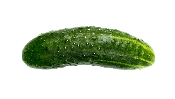 Grön gurka isolerade — Stockfoto