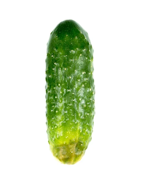 Zöld uborka elszigetelt — Stock Fotó