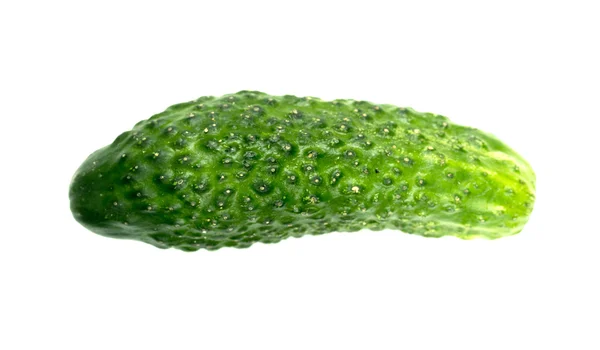 Groene komkommer geïsoleerd — Stockfoto