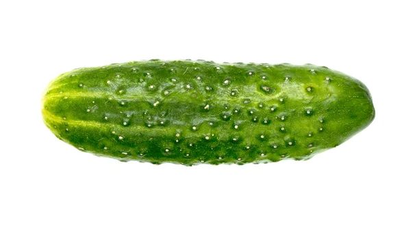 Cetriolo verde isolato — Foto Stock