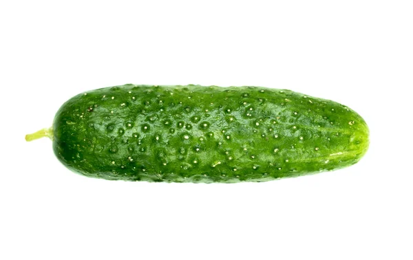 Grön gurka isolerade — Stockfoto