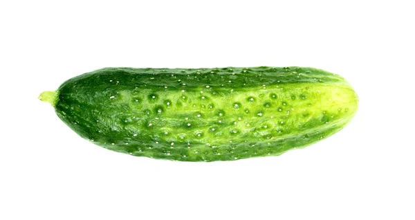 Green cucumber isolated — Stock Photo, Image