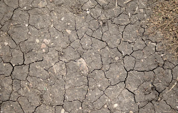 Terre fissurée sèche fond — Photo